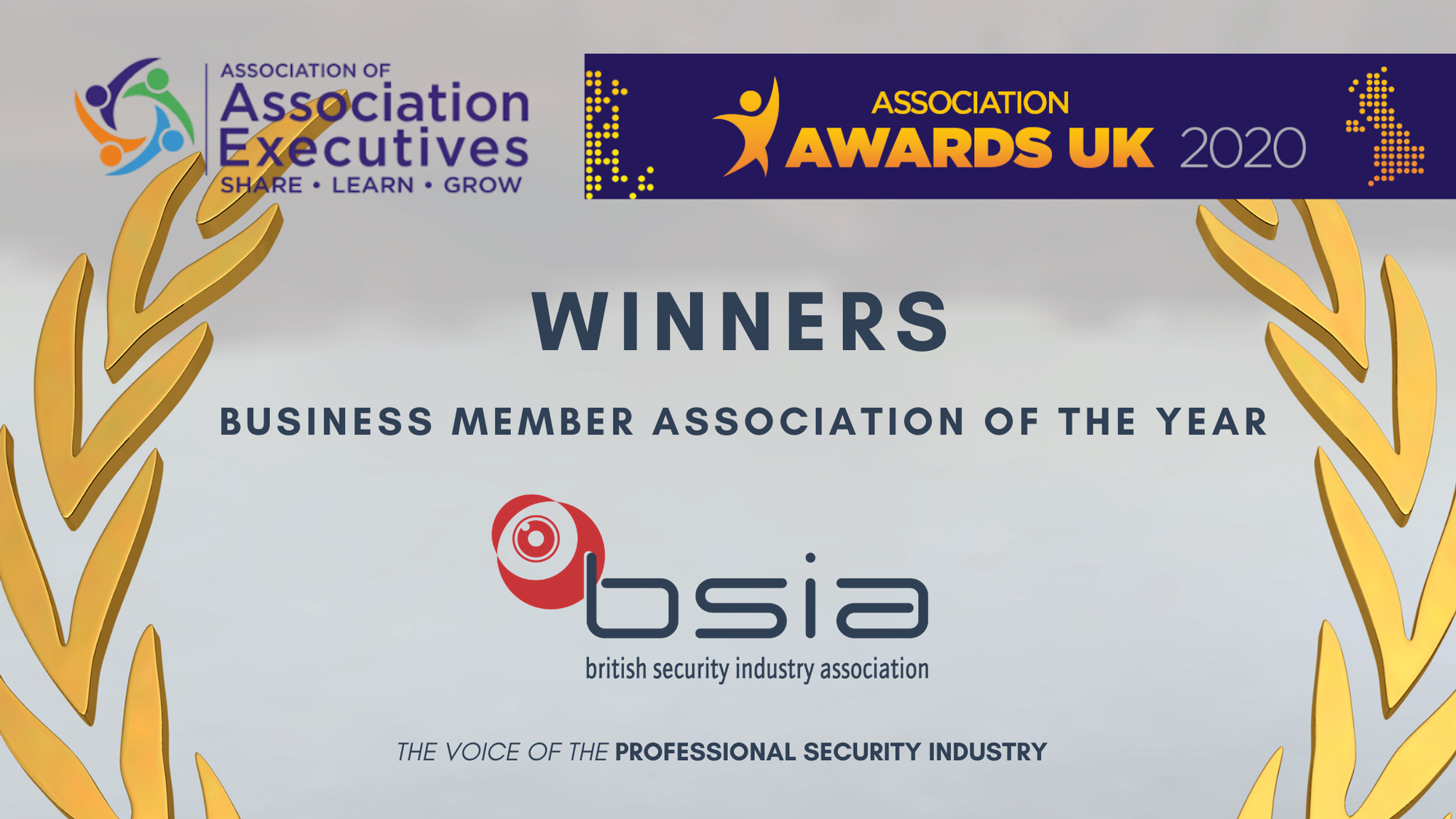 BSIA win Business Member Association of the Year