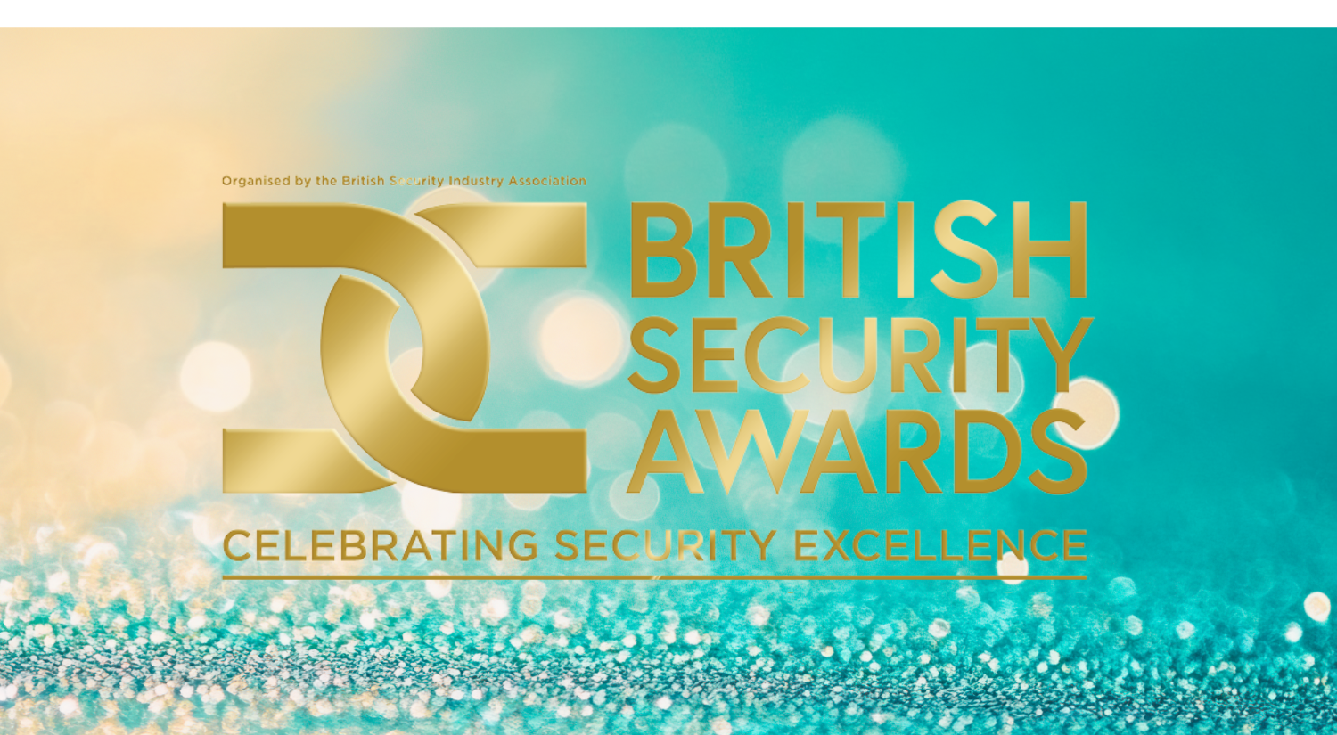 British Security Awards - Introduction to our judges