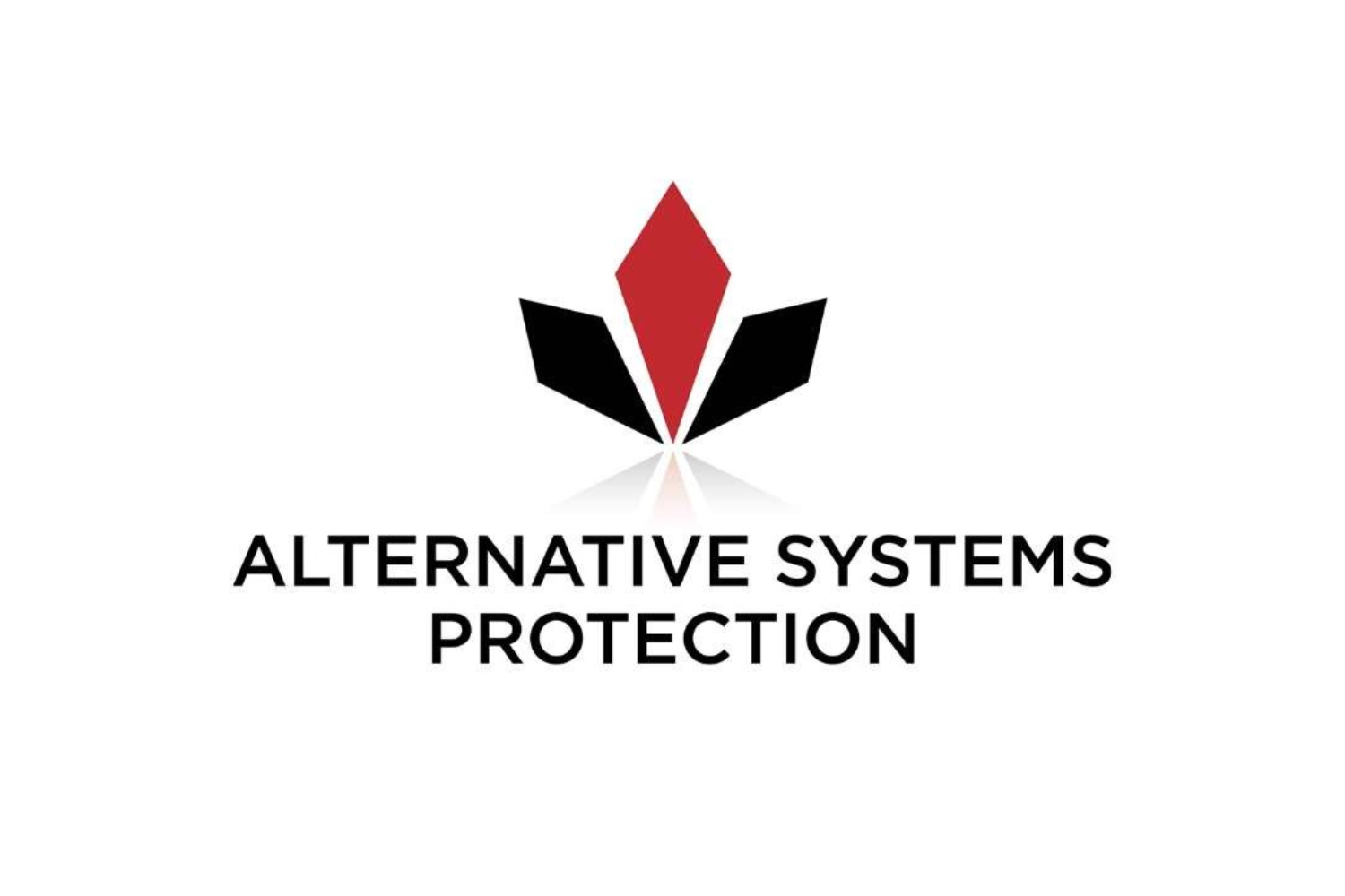 110 UK Limited T/A Alternative Systems Protection